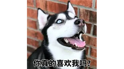 Prime Day 攻略