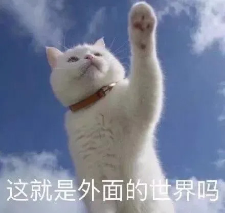 北美小木屋,Getaway