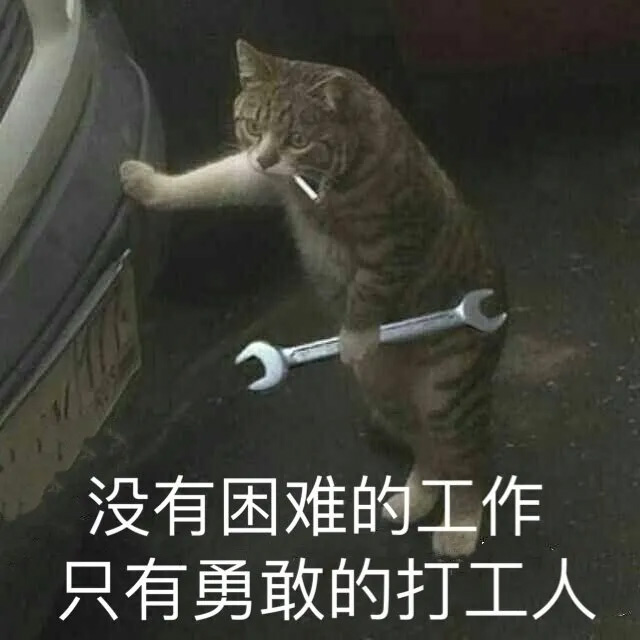 正青春,平凡的荣耀,大江大河2,安家,你是我的幸福,机智医生生活,请收入搜索词：WWW,金科长,锥子,半泽直树,灰姑娘药剂师,架空OL日记,我 到点下班,Flack,The Morning Show,Billions,Mad Men