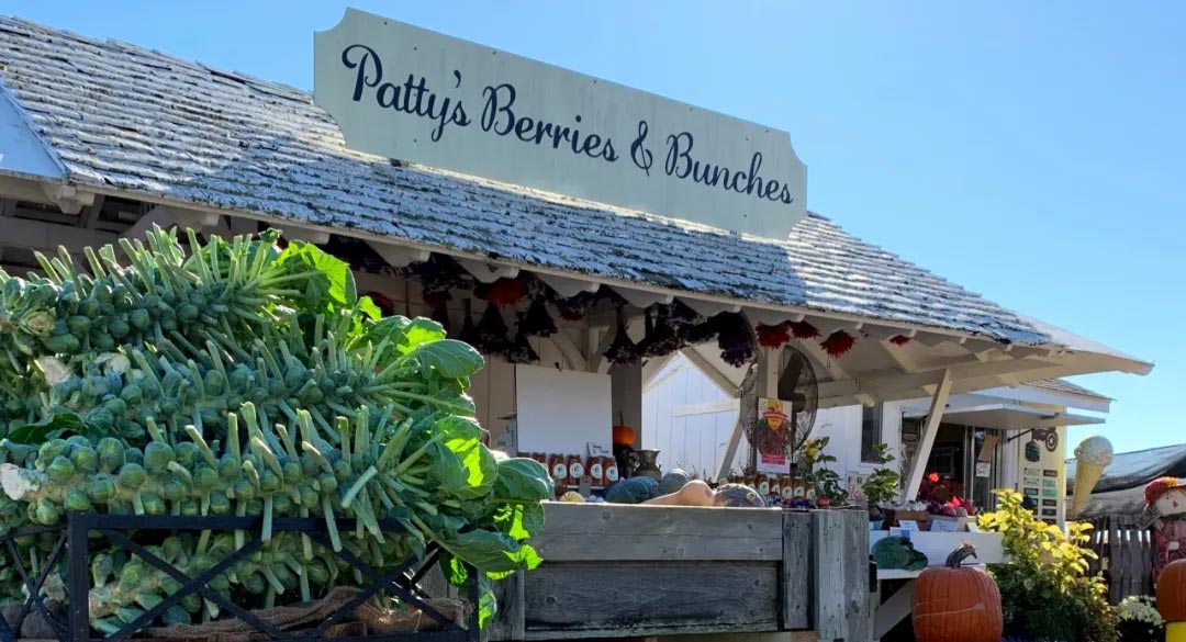农场采摘,Crystal Bay Farm,Gizdich Ranch,Berry Best Farm,Berry Best Farm,Murray Family Farms,Riley’s Farm,Messick's Farm,Great Country Farms,Butler’s Orchard,Lewin Farms,Alstede Farms,Patty’s Berries and Bunches