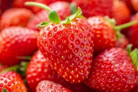 农场采摘,Crystal Bay Farm,Gizdich Ranch,Berry Best Farm,Berry Best Farm,Murray Family Farms,Riley’s Farm,Messick's Farm,Great Country Farms,Butler’s Orchard,Lewin Farms,Alstede Farms,Patty’s Berries and Bunches