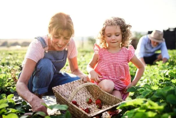 农场采摘,Crystal Bay Farm,Gizdich Ranch,Berry Best Farm,Berry Best Farm,Murray Family Farms,Riley’s Farm,Messick's Farm,Great Country Farms,Butler’s Orchard,Lewin Farms,Alstede Farms,Patty’s Berries and Bunches