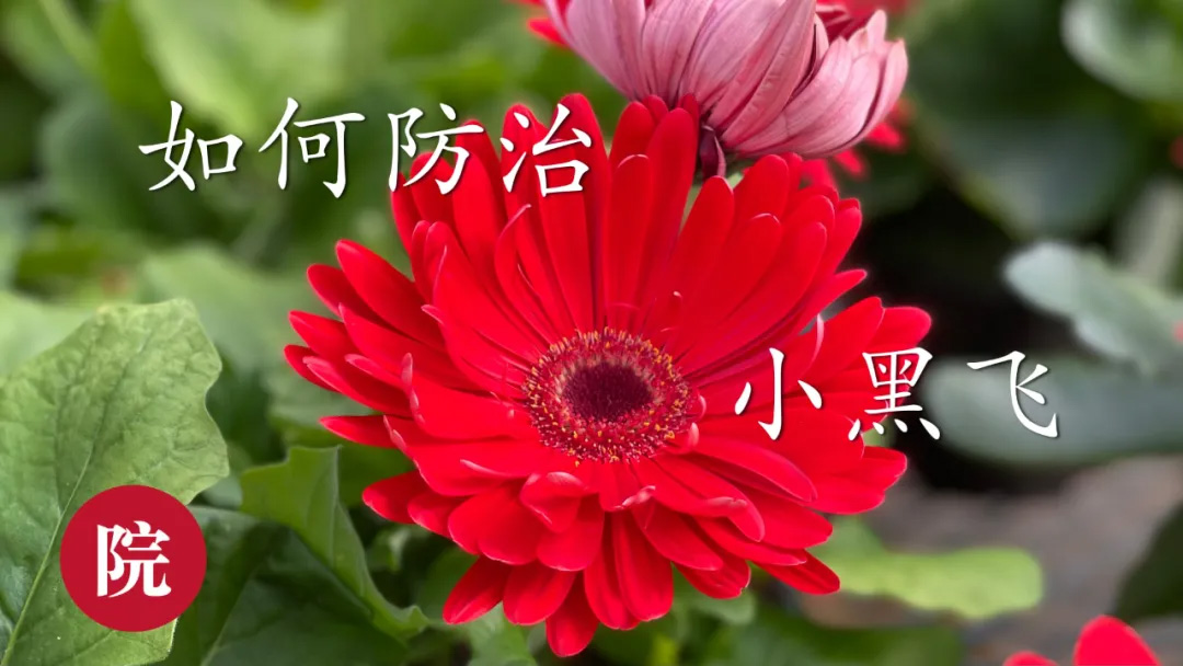 活动规则,美食博主,生活博主,影视博主,新闻资讯