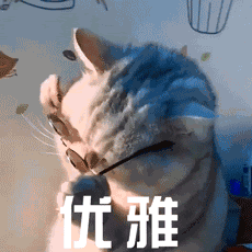 孟晚舟,孟晚舟职场女性穿搭,孟晚舟香奈儿同款,孟晚舟脚镣包,孟晚舟归国穿搭,孟晚舟大牌穿搭